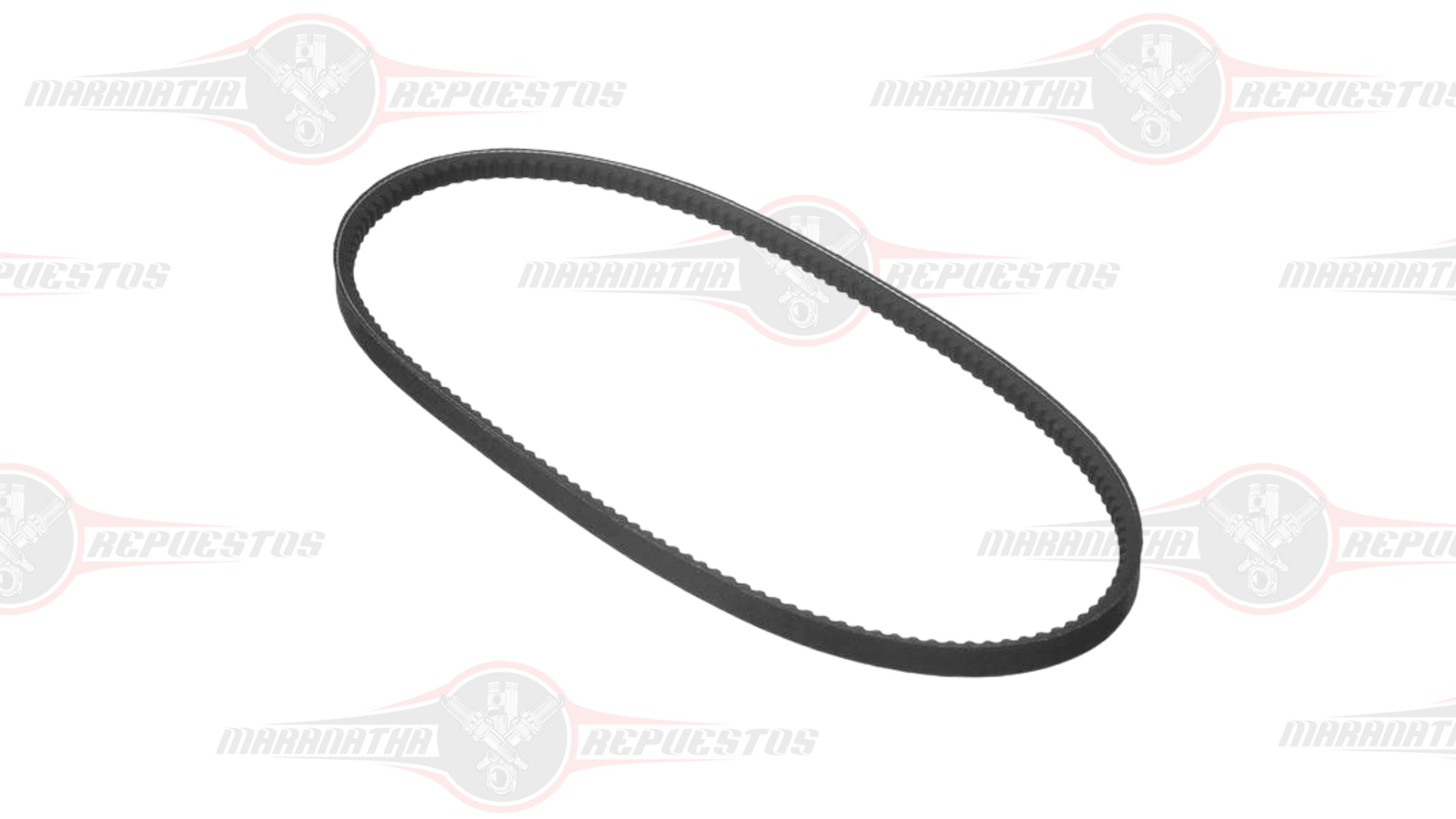 CORREA REPARTICION NISSAN