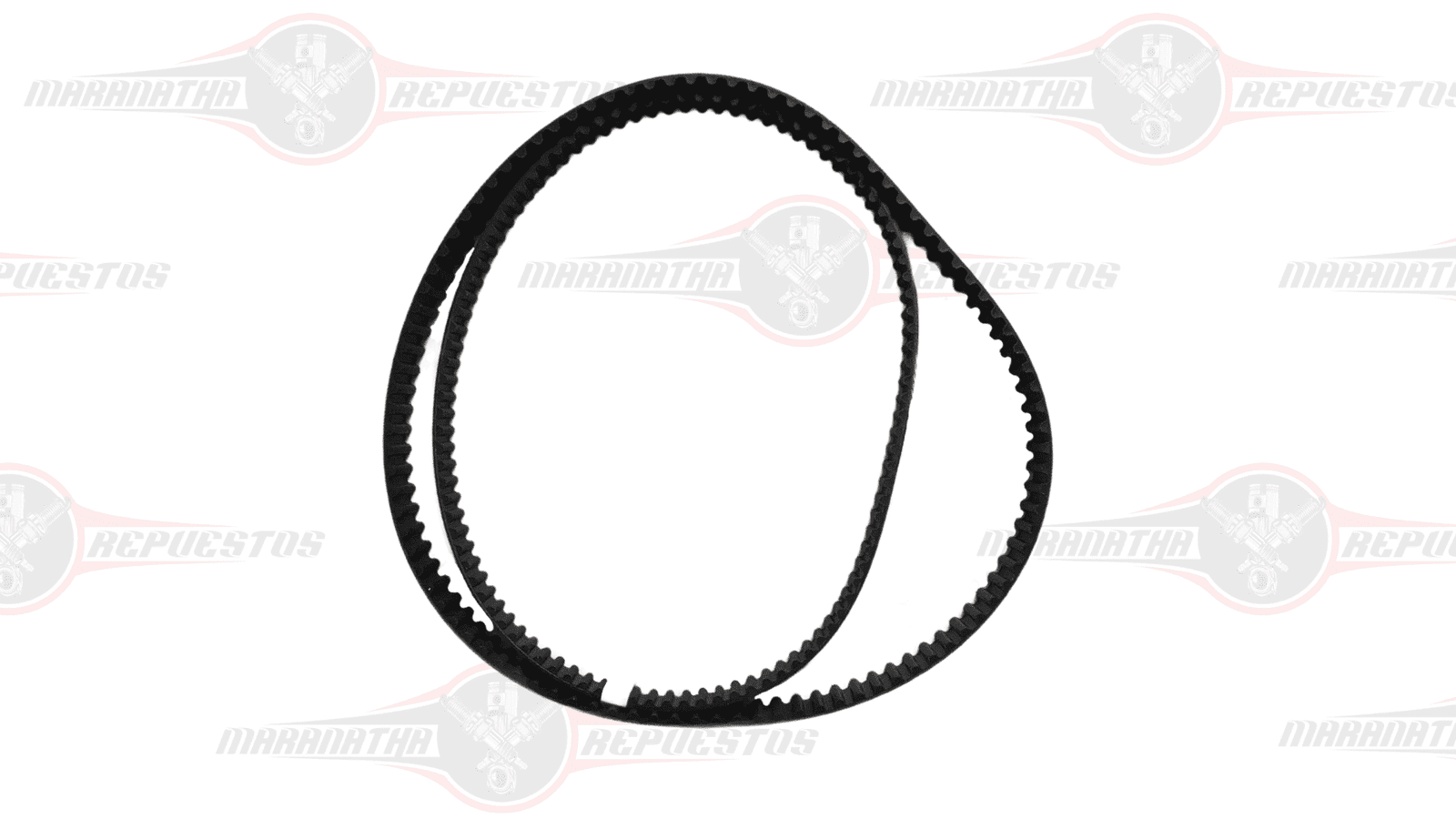 CORREA REPARTICION TOYOTA